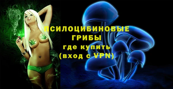 твердый Белоозёрский