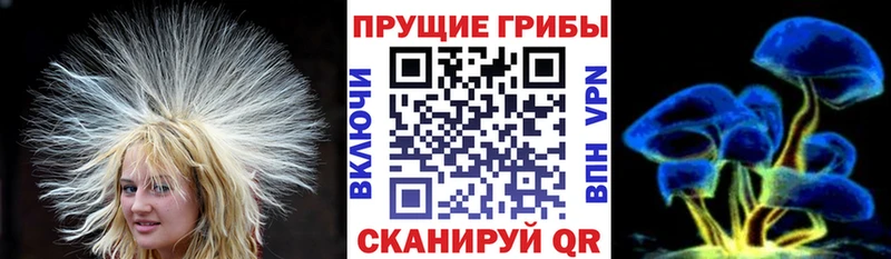 Галлюциногенные грибы Cubensis  что такое   Саяногорск 